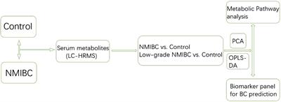 Serum metabolites as early detection markers of non-muscle invasive bladder cancer in Chinese patients